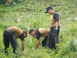 Peduli Lingkungan, Polda Sulbar Gelar Kerja Bakti dan Tanam Pohon