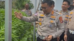 Panen Raya di Pekarangan Pangan Lestari Ditlantas, Hasilnya Dibagikan ke Pengendara Tertib Secara Gratis