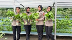 Panen Pekarangan Pangan Lestari, Ditlantas Polda Sulbar Kembali Berbagi Hasil Bagi Pengendara Tertib