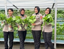 Panen Pekarangan Pangan Lestari, Ditlantas Polda Sulbar Kembali Berbagi Hasil Bagi Pengendara Tertib