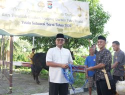 17 Sapi dan 33 Kambing Disembelih, Polda Sulbar Bagikan Daging Qurban untuk Personel dan Masyarakat