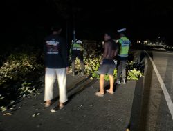 Polantas Polda Sulbar Hadir Sebagai Solusi, Bersihkan Tumpukan Ranting Demi Keselamatan Pengguna Jalan