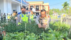 Dari Kebun ke Jalan, Ditlantas Polda Sulbar Wujudkan Ketahanan Pangan Lewat Aksi Berbagi untuk Masyarakat