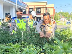 Dari Kebun ke Jalan, Ditlantas Polda Sulbar Wujudkan Ketahanan Pangan Lewat Aksi Berbagi untuk Masyarakat