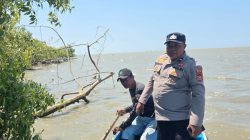Antisipasi Dampak Gempa NTT Polsek Sajoanging Lakukan Pemantauan Air Laut di Pesisir Wajo