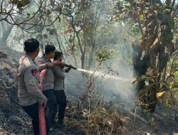Polresta Mamuju Bersama TNI-Pemda Sigap Padamkan Karhutla di Desa Sumare, Permukiman Warga Terlindungi