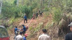 Karhutla Tawalian Mamasa Bakar 2 Hektare Lahan, TNI-Polri dan Damkar Turun Tangan Api Dicegah Mendekati Permukiman